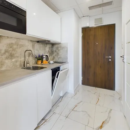 Modern, Air-conditioned In The Centre Of By Renters 公寓
